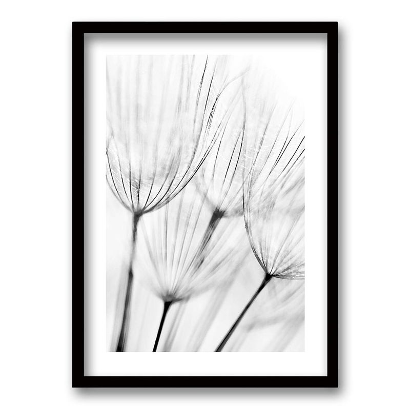 RETELA - Cuadro Cipsela - Negro - 50x35 cm