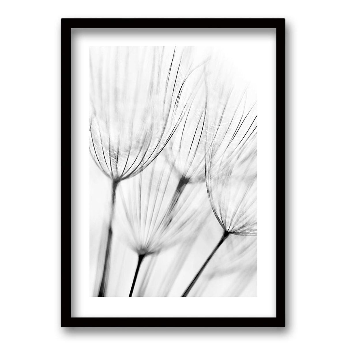 RETELA - Cuadro Cipsela - Negro