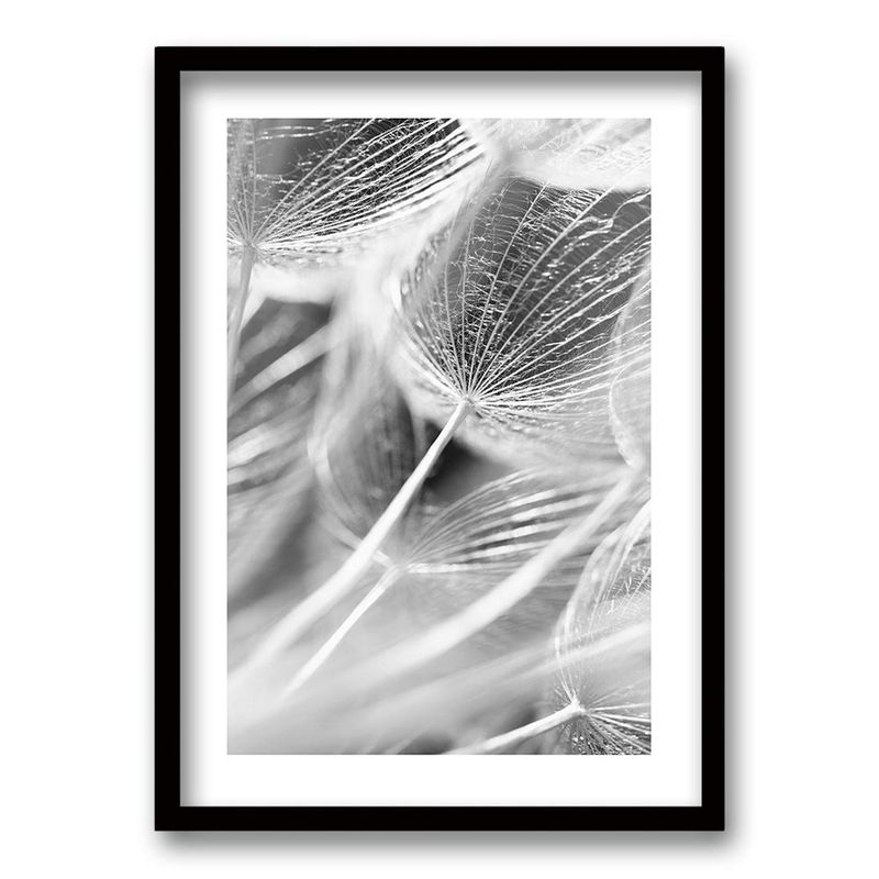 RETELA - Cuadro Cipsela Viento - Negro - 70x50 cm