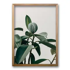 RETELA - Cuadro Planta - Cafe - 70x50 cm