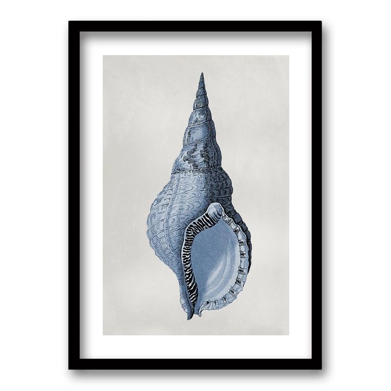 RETELA - Cuadro Blue Shell II - Negro - 70x50 cm