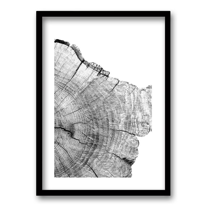 RETELA - Cuadro Pulso del Bosque II - Negro