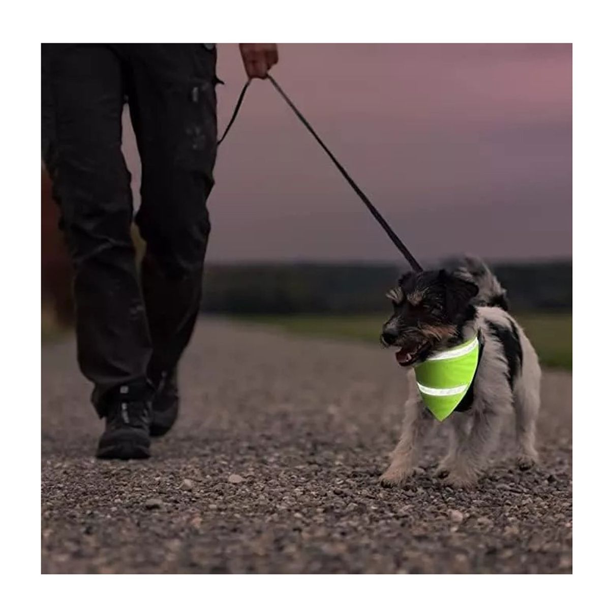 GENERICO - Bandana Reflectante Para Perros Y Gatos Pañoleta Talla S - Verde