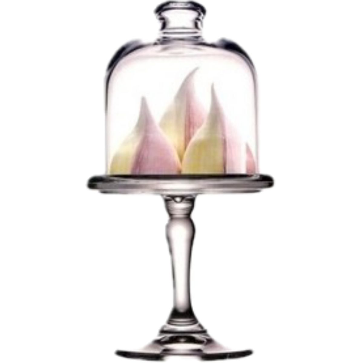 CAP DOR - Dulcera Mini con Tapa