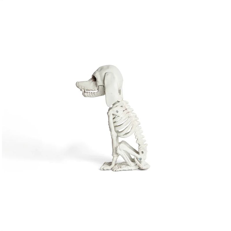 FRANK & MORTIS - Esqueleto Perro Poodle Decoración Halloween F&m