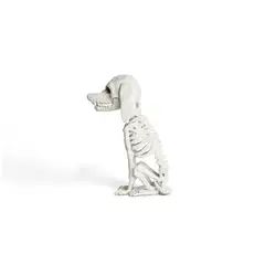 FRANK & MORTIS - Esqueleto Perro Poodle Decoración Halloween F&m