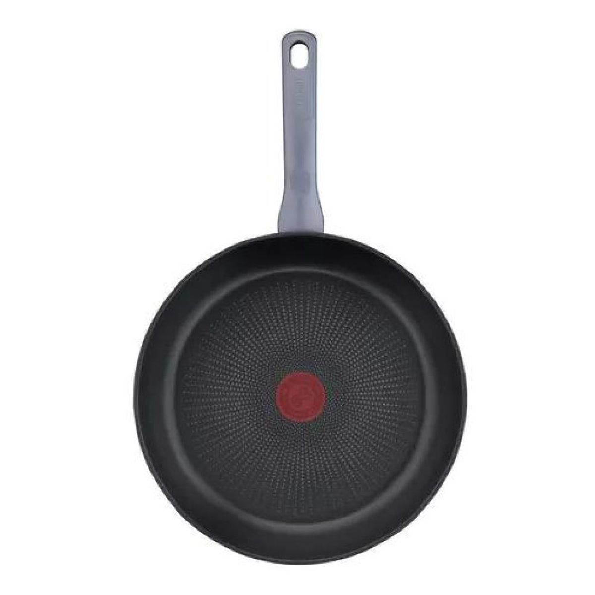 TEFAL - Set Sartenes 2428cm Daily Cook Color Plateado