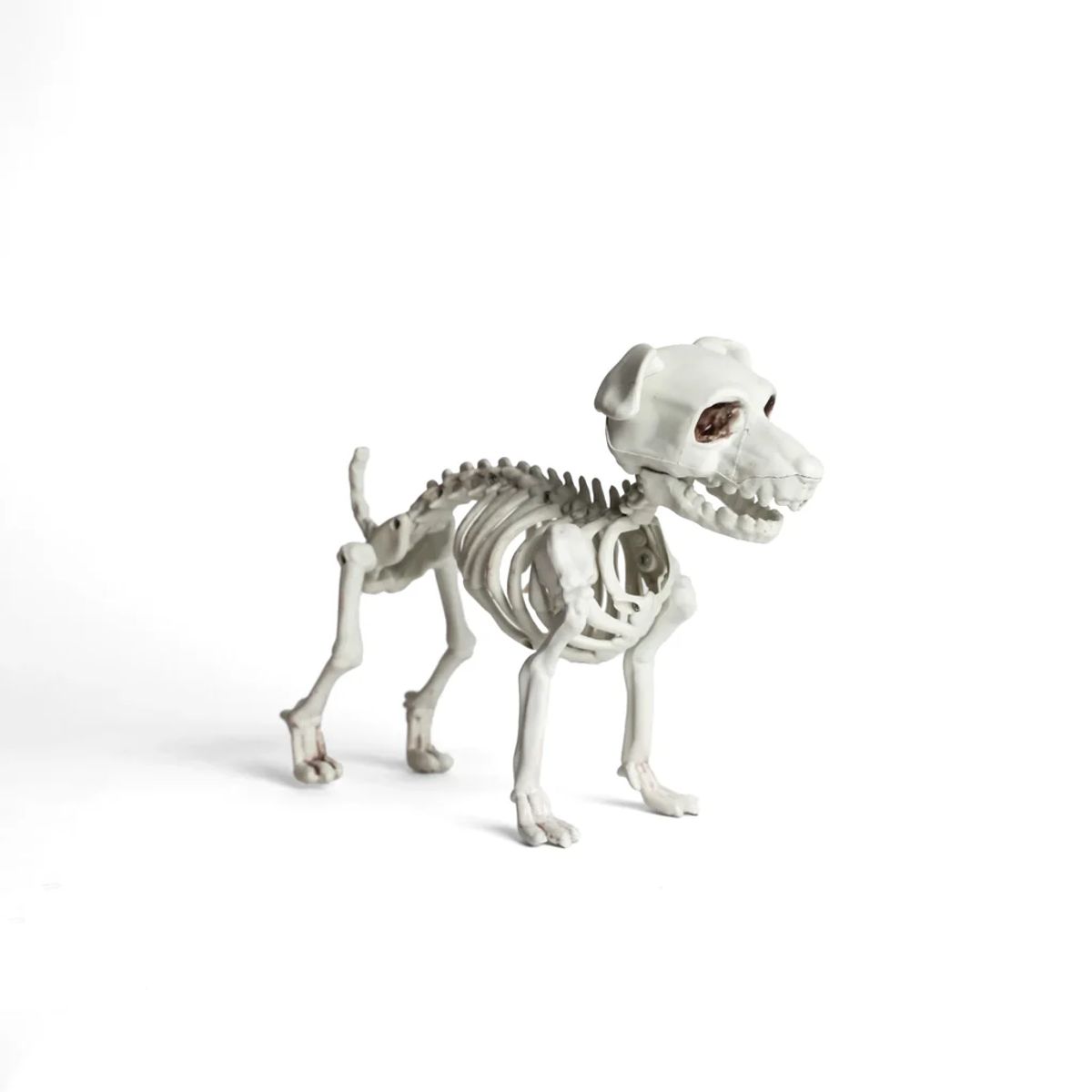 FRANK & MORTIS - Esqueleto Perro Schnauzer Decoración Halloween F&m