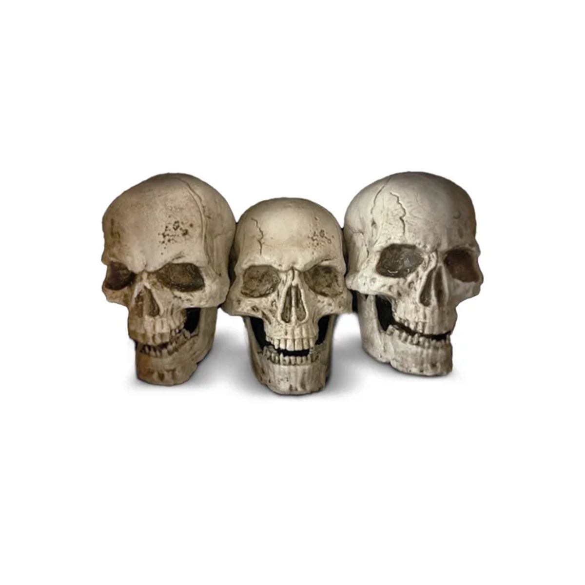 FRANK & MORTIS - Estacas Calaveras Luz Led 29cm Deco Halloween Frank&mortis
