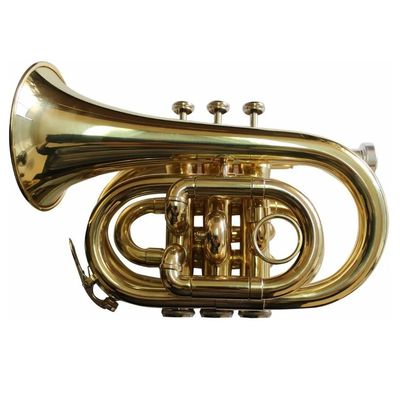 Imagen 2 del producto Trompeta de Bolsillo FT 6500