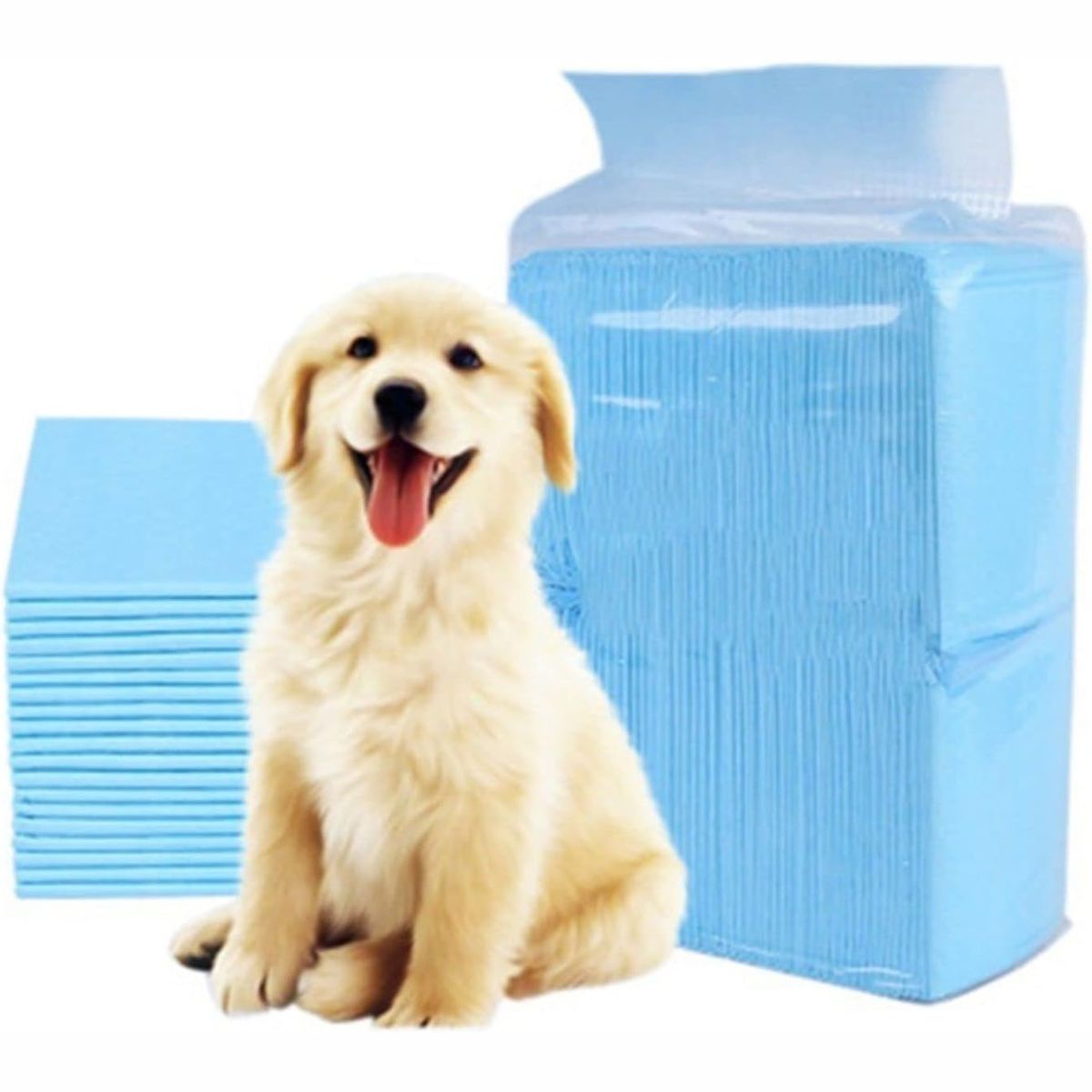 GENERICO - 12 Pads Incontinencia Ultra Absorbente