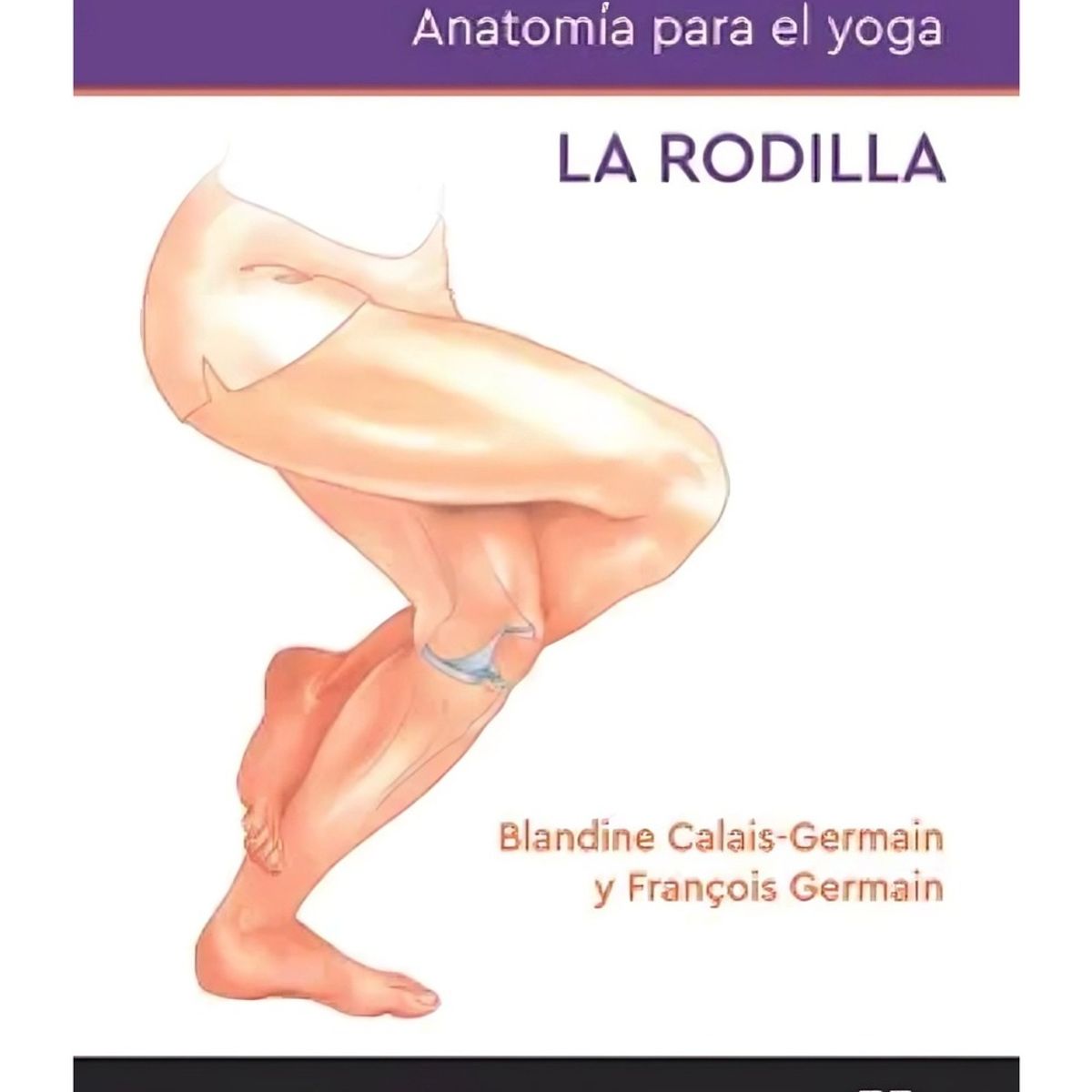 TOP10BOOKS - LIBRO Anatomia Del Yoga - Anatomia Del Yoga