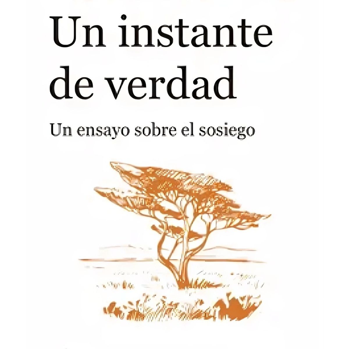 TOP10BOOKS - LIBRO Un Instante De Verdad - Teresa Langle de Paz
