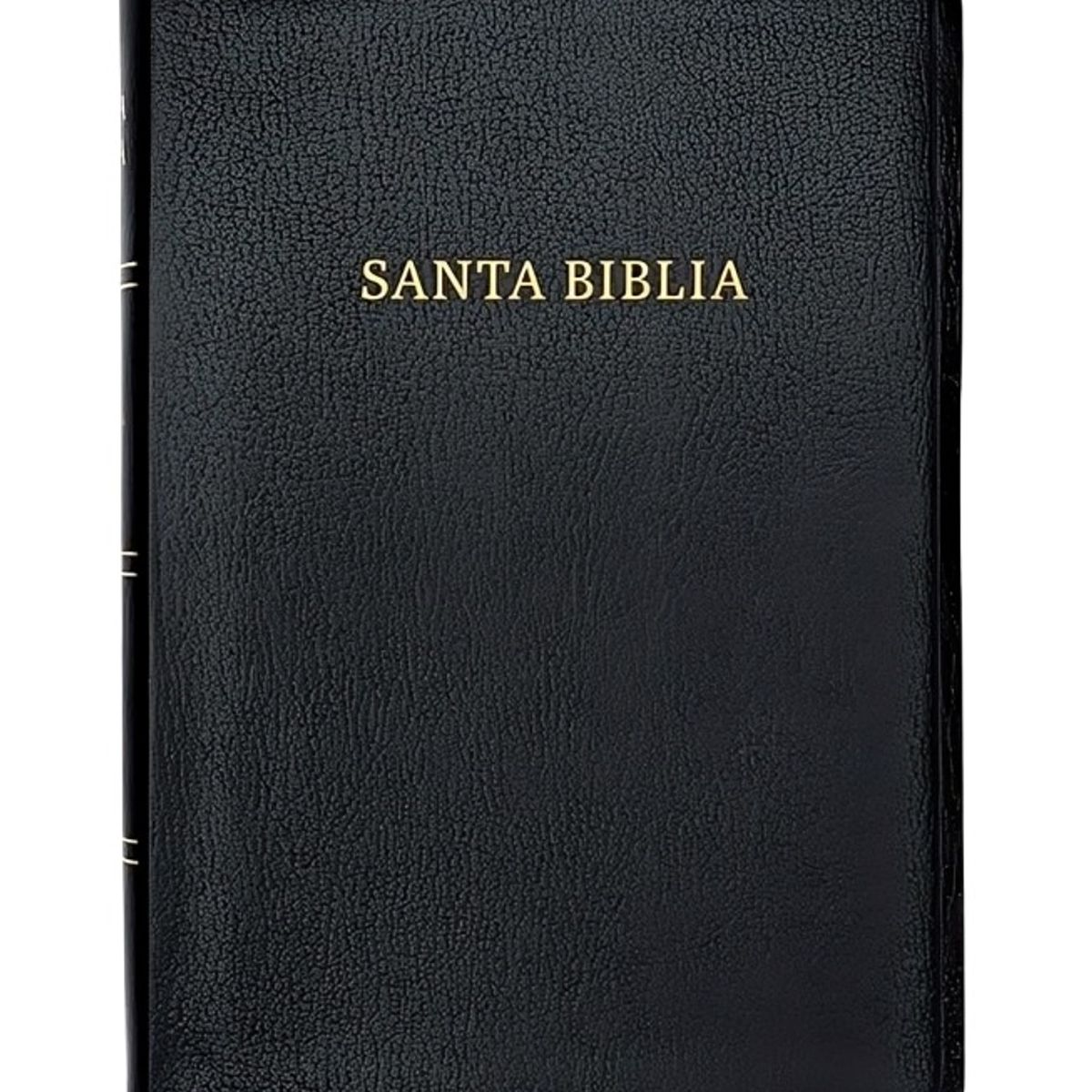 TOP10BOOKS - LIBRO Biblia Reina Valera 1960 Letra Gigante Imitación Piel
