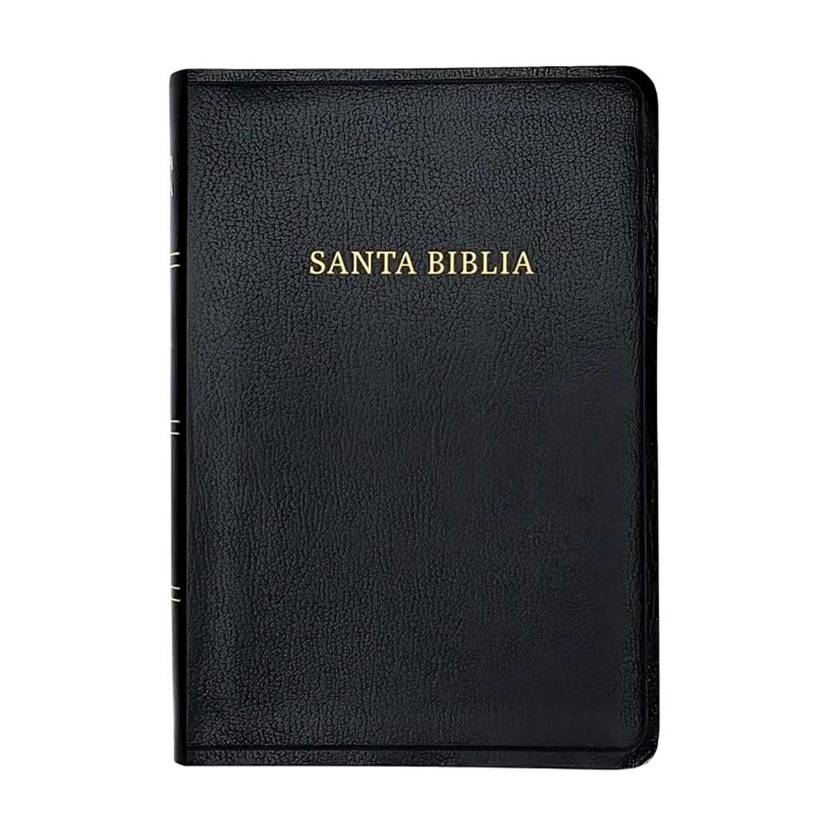 TOP10BOOKS - LIBRO Biblia Reina Valera 1960 Letra Gigante Imitación Piel