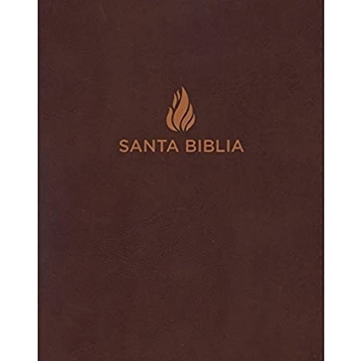 TOP10BOOKS - LIBRO Biblia Reina Valera 1960 Letra Gigante Piel Fabricada Marrón