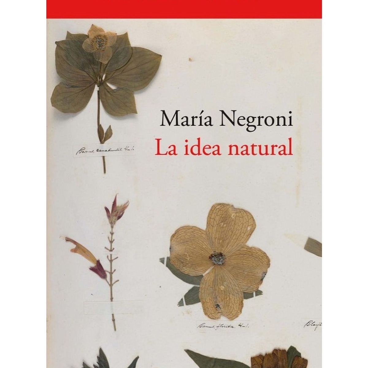 TOP10BOOKS - LIBRO La Idea Natural - La Idea Natural