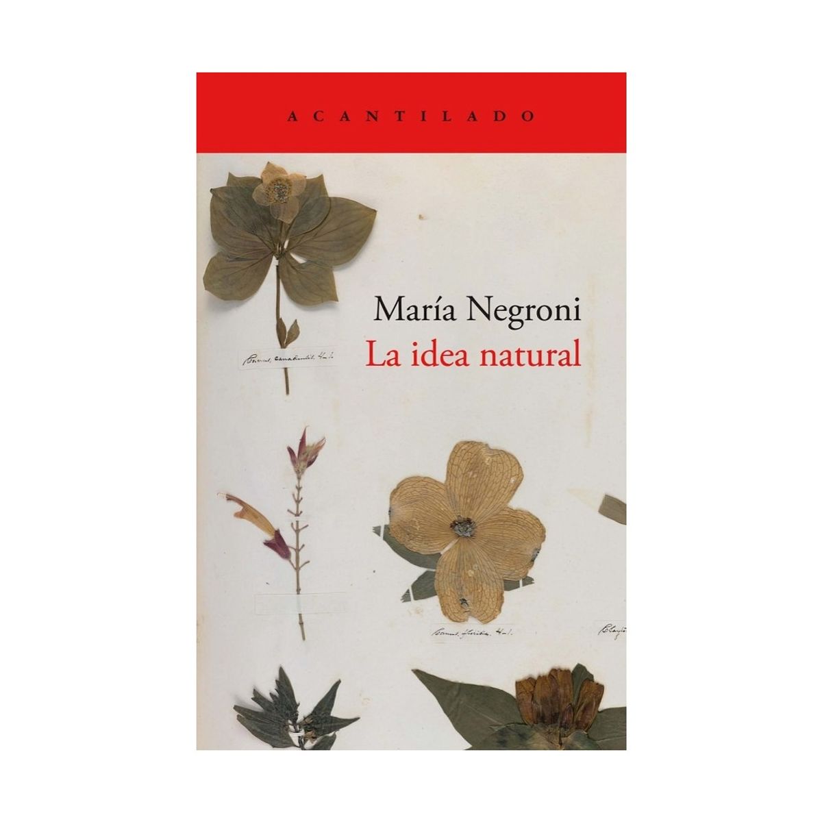TOP10BOOKS - LIBRO La Idea Natural - La Idea Natural