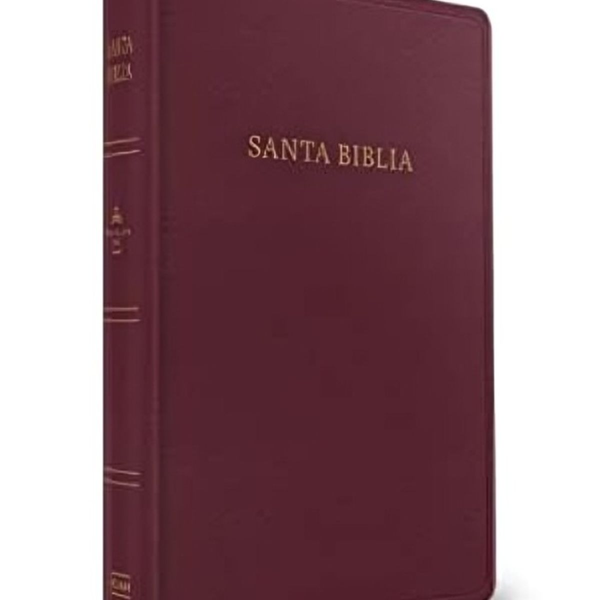 TOP10BOOKS - LIBRO Biblia Reina Valera 1960 Letra Grande Tamaño Manual