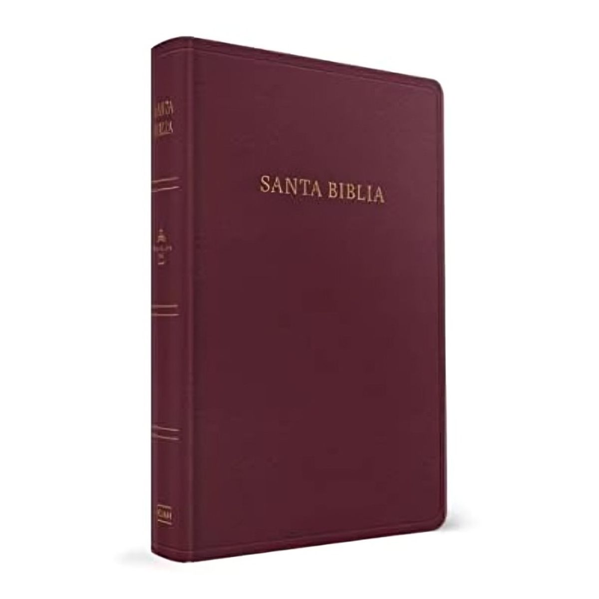 TOP10BOOKS - LIBRO Biblia Reina Valera 1960 Letra Grande Tamaño Manual