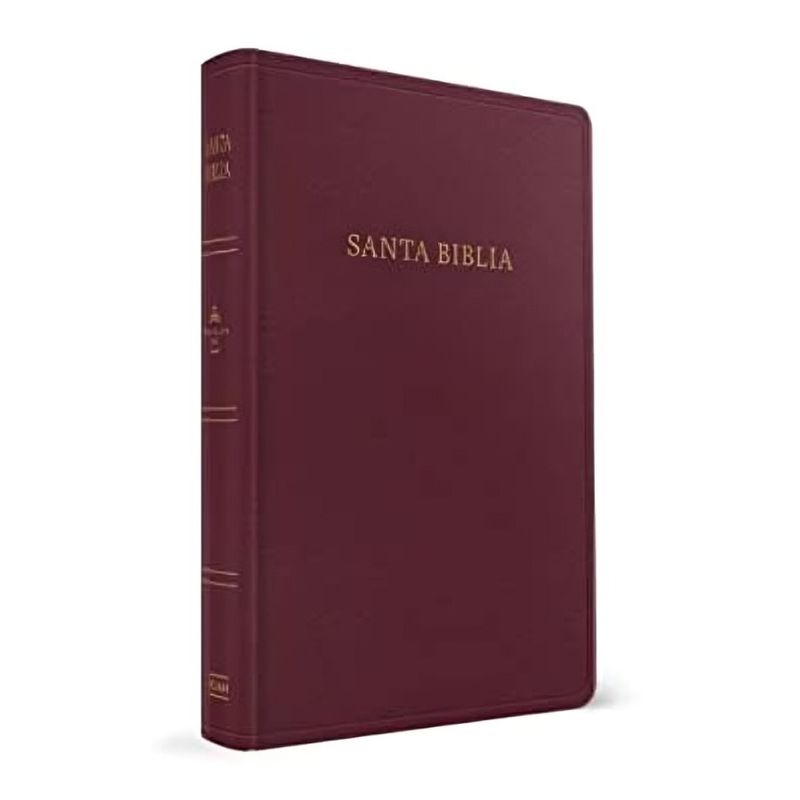 TOP10BOOKS - LIBRO BIBLIA REINA VALERA 1960 LETRA GRANDE TAMAÑO MANUAL BORGONA IMITACIÓN PIE