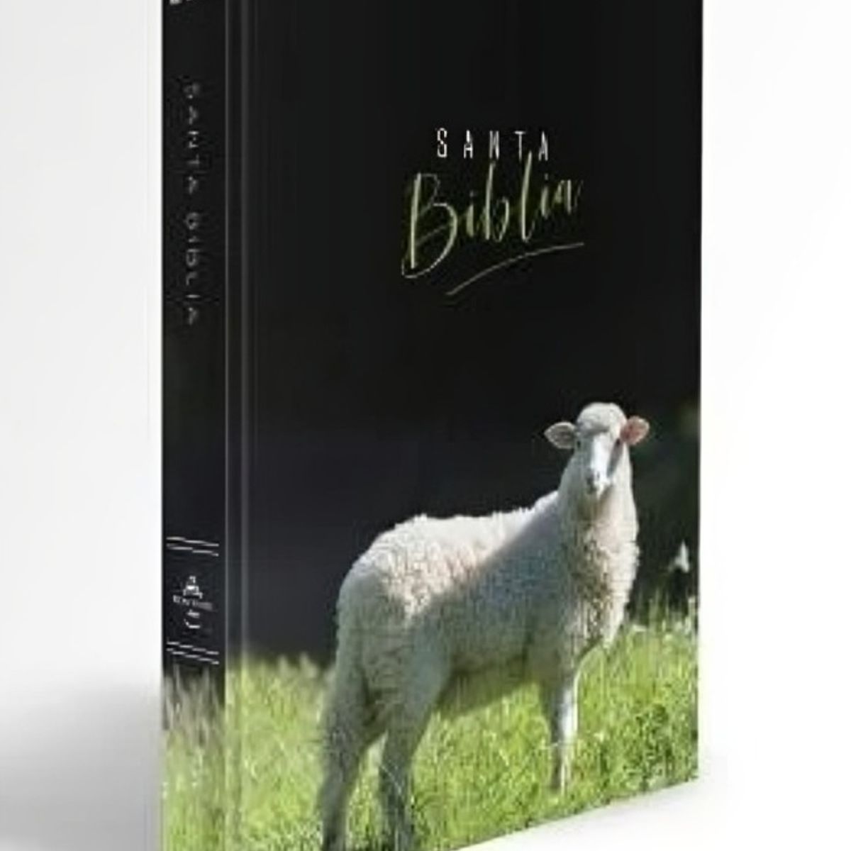 TOP10BOOKS - LIBRO Biblia Reina Valera 1960 Letra Grande Manual Cordero