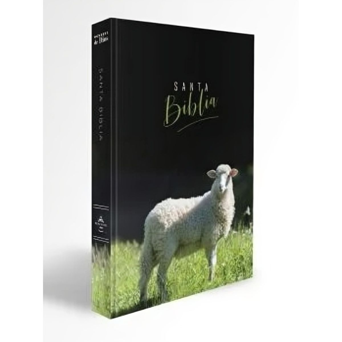 TOP10BOOKS - LIBRO Biblia Reina Valera 1960 Letra Grande Manual Cordero