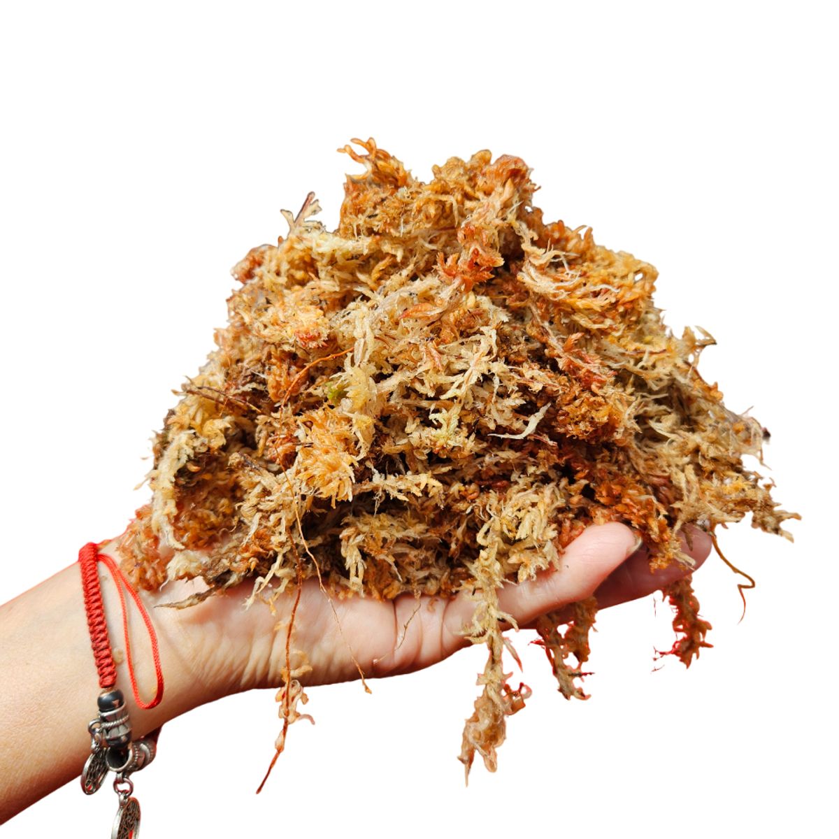 GENERICO - Musgo Sphagnum (Hidratado y Expandido), 6 Litros