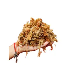 GENERICO - Musgo Sphagnum (Hidratado y Expandido), 6 Litros