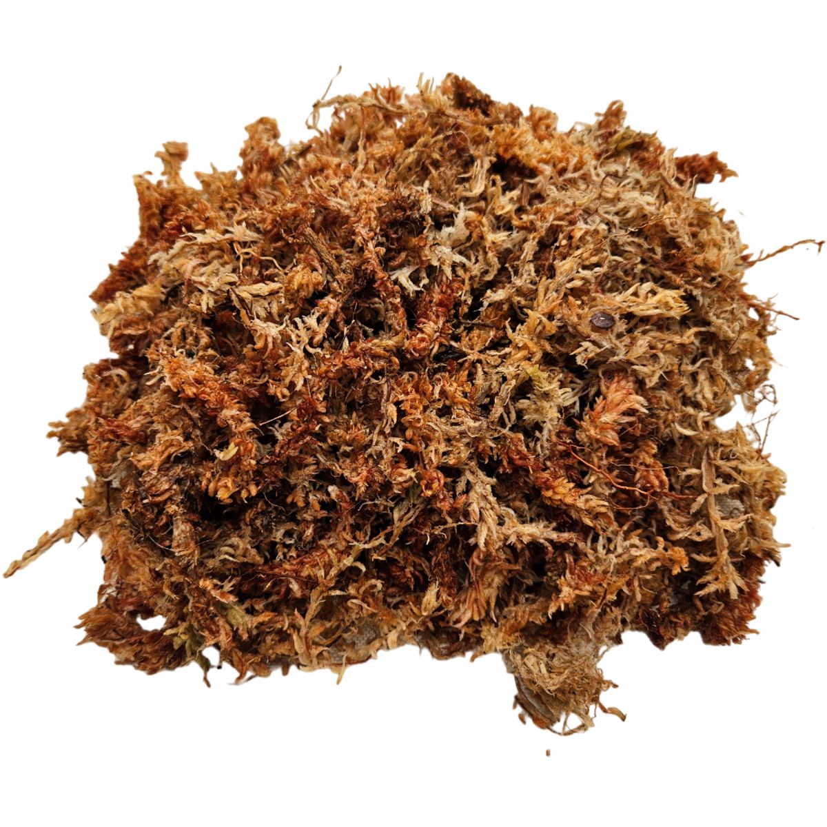 GENERICO - Musgo Sphagnum (Hidratado y Expandido), 6 Litros