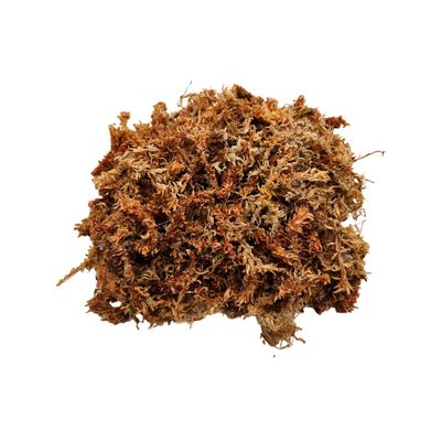 Imagen 2 del producto Musgo Sphagnum (Hidratado y Expandido), 6 Litros