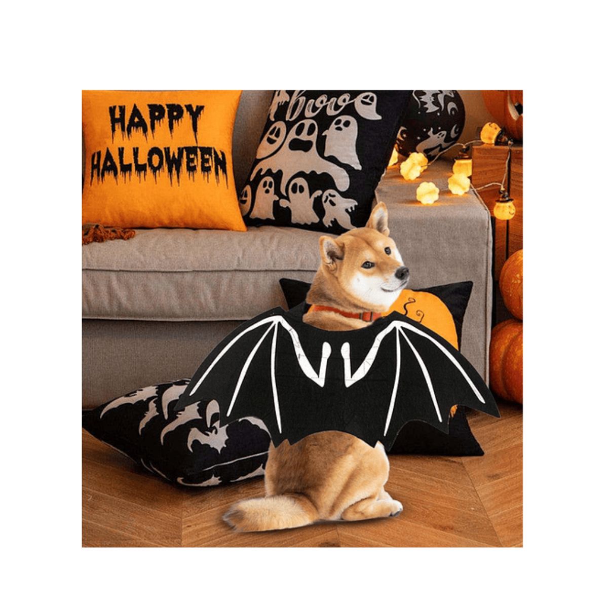 GENERICO - Disfraz Alas De Murciélago Para Gatosperros Halloween M