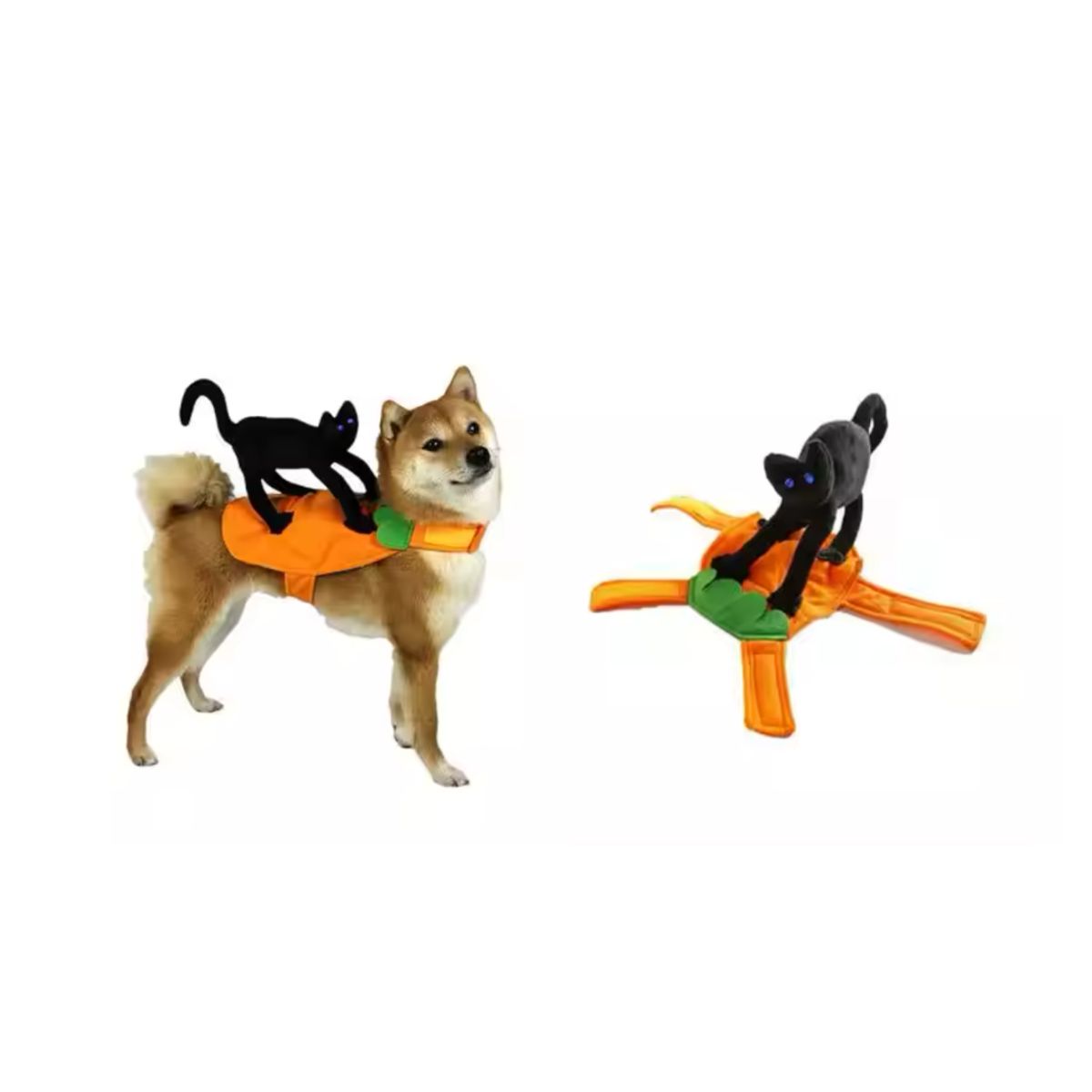 GENERICO - Disfraz Calabaza Con Gatos Negro Perro Gatos Halloween S