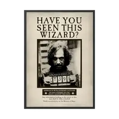 CREANGO - CUADRO POSTER HARRY POTTER SIRIUS BLACK SE BUSCA 33X43