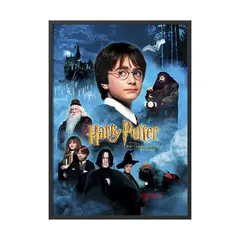 CREANGO - CUADRO POSTER HARRY POTTER PIEDRA FILOSOFAL PORTADA 33X43