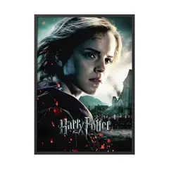 CREANGO - CUADRO POSTER RON WEASLEY HARRY POTTER 33X43