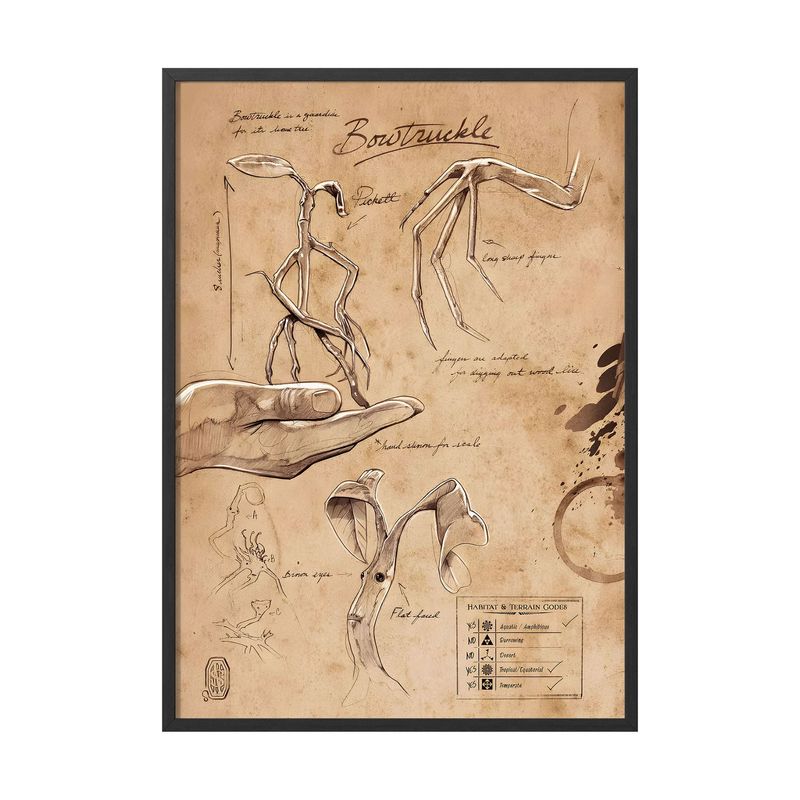 CREANGO - CUADRO POSTER ANIMALES FANTASTICOS BOWTRUCKLE 33X43