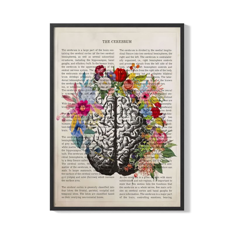 CREANGO - CUADRO POSTER CEREBRO Y FLORES 33X43