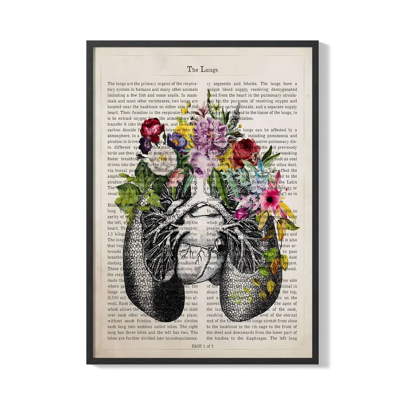 CREANGO - CUADRO POSTER PULMONES Y FLORES 33X43