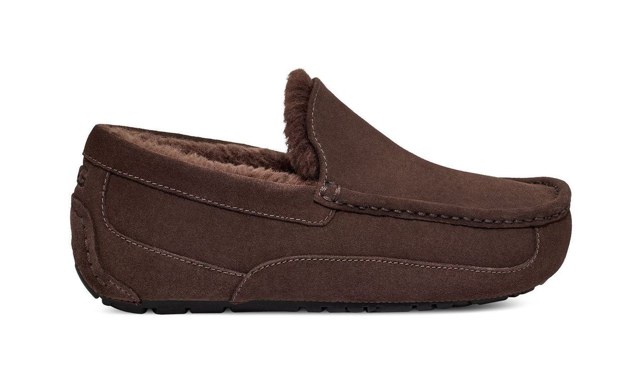 Pantuflas Hombre Ascot Café