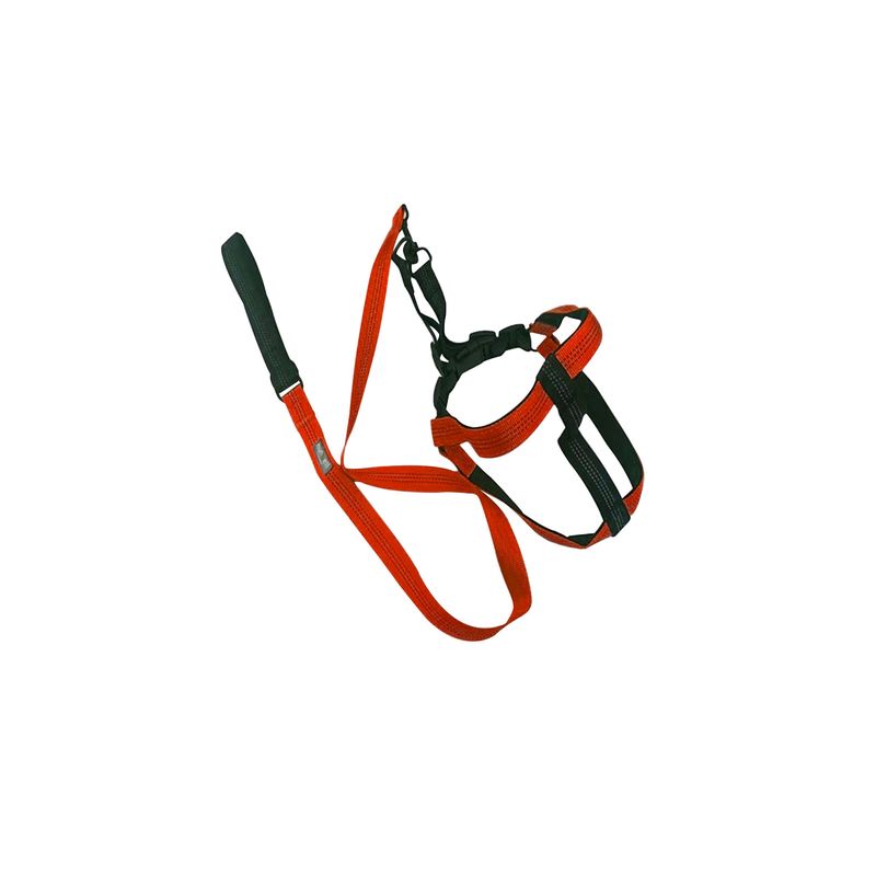 IMPORTCLICK - Arnes Con Correa Mascotas Resistente y Ajustable Naranjo