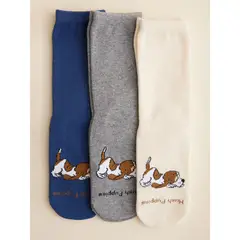 HUSH PUPPIES - Pack 3 Calcetines Azul Gift Pcni Niño