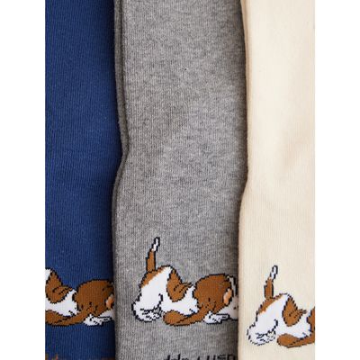 Imagen 2 del producto Pack 3 Calcetines Azul Gift Pcni Niño