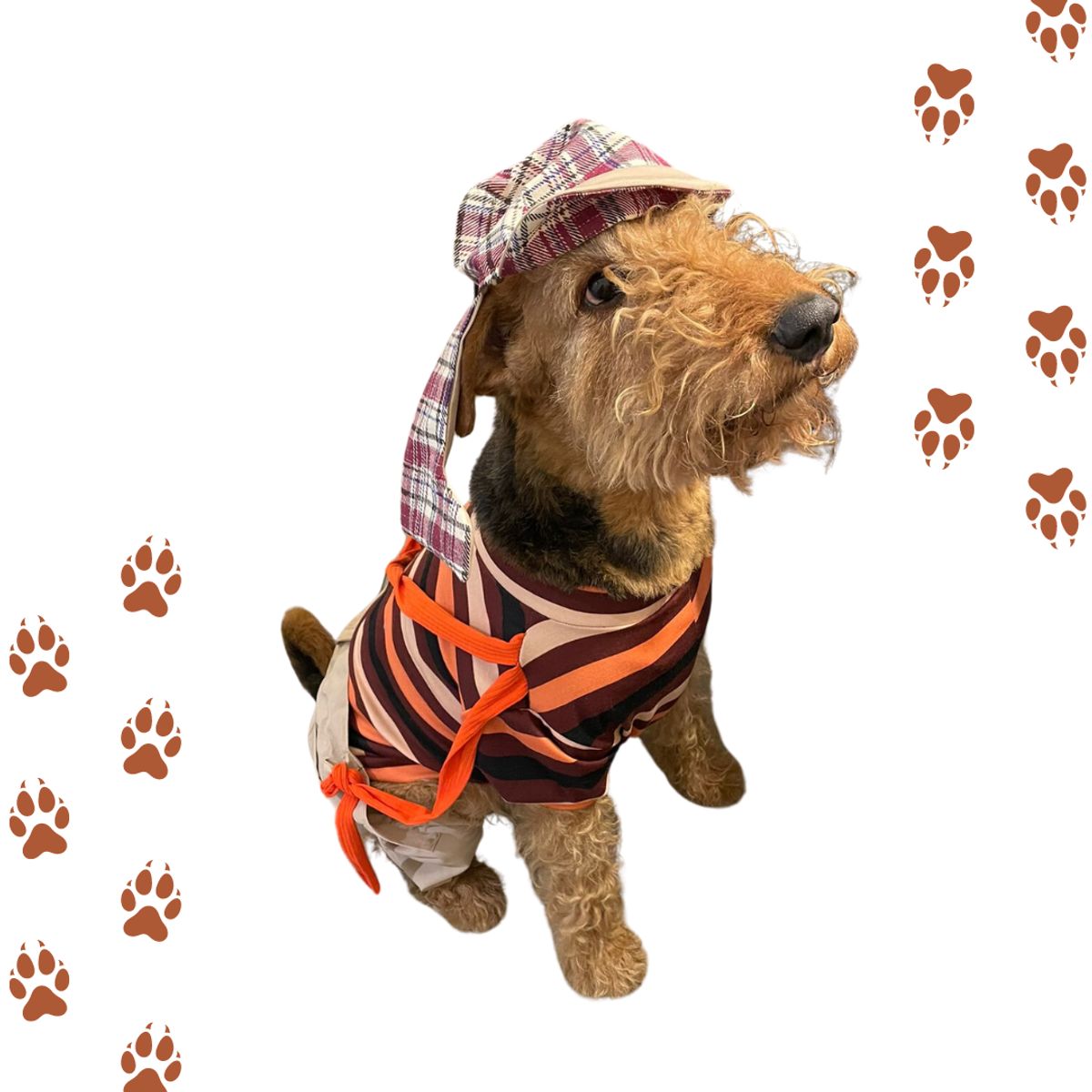 GENERICO - Disfraz Chavo Del 8 Para Mascotas - Talla XS