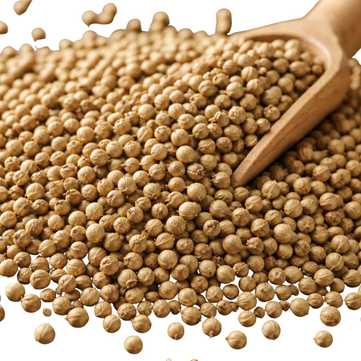 GENERICO - Cilantro Semillas o Coriandro Ideal Mezclas y Carnes Entero La Especieria 30g