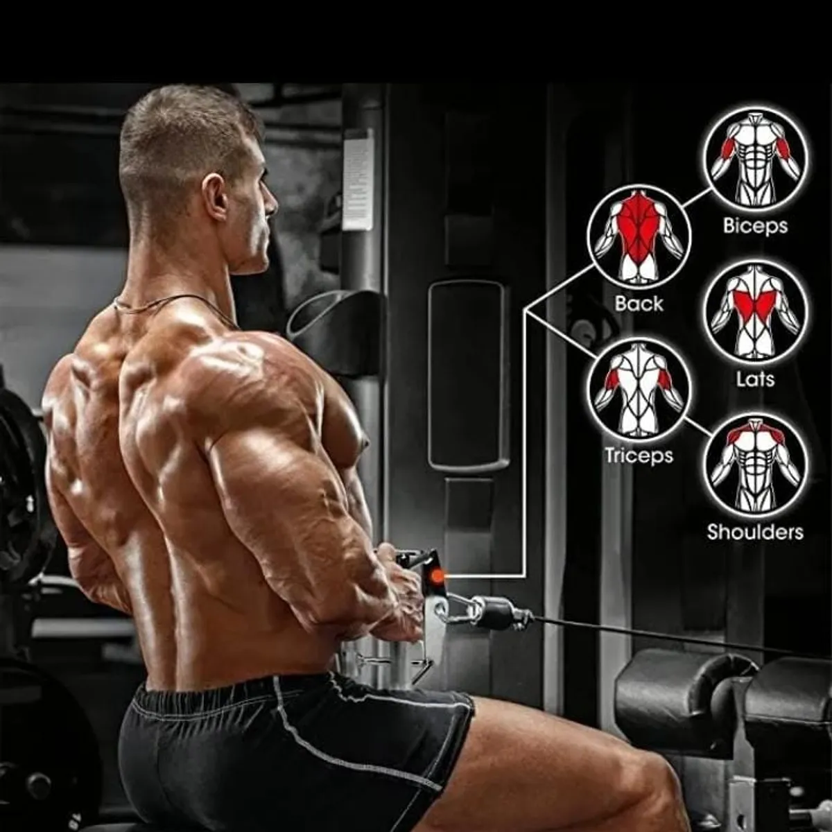 GENERICO - Agarre Polea Remo Triangulo Accesorio Polea Gym