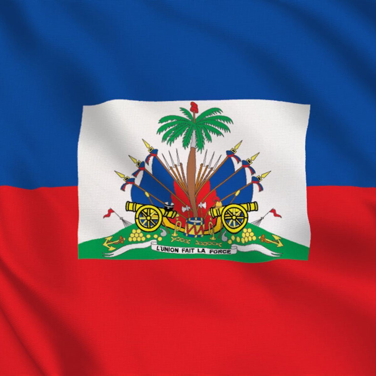 GENERICO - Bandera Estampada Haití  - S0001H