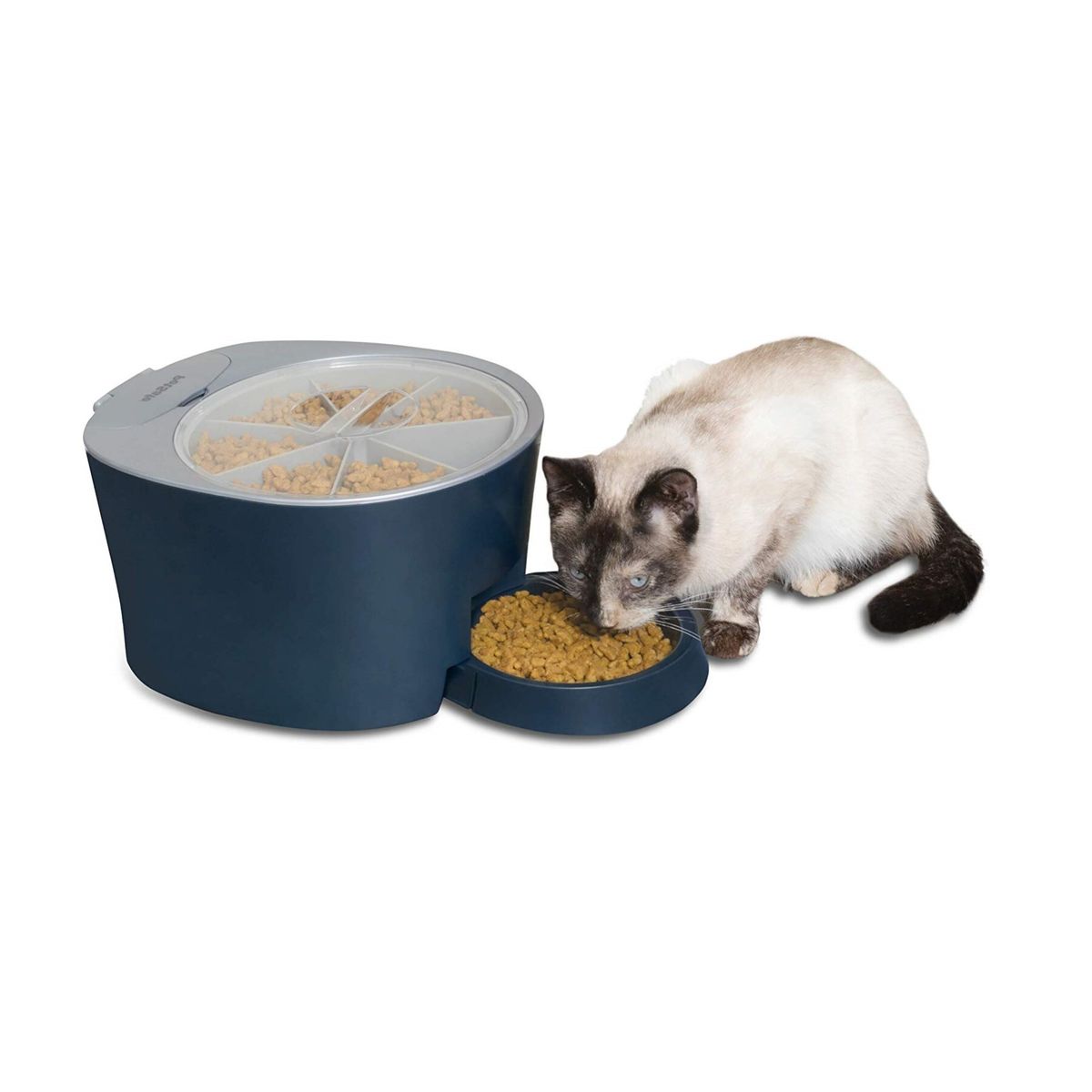 PET SAFE - Comedero Automático 6 raciones Marca PetSafe Color Azul