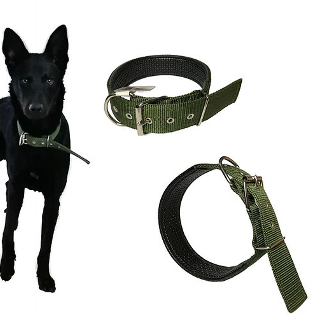 GENERICO - Collar deportivo para perro Mediano a Grande