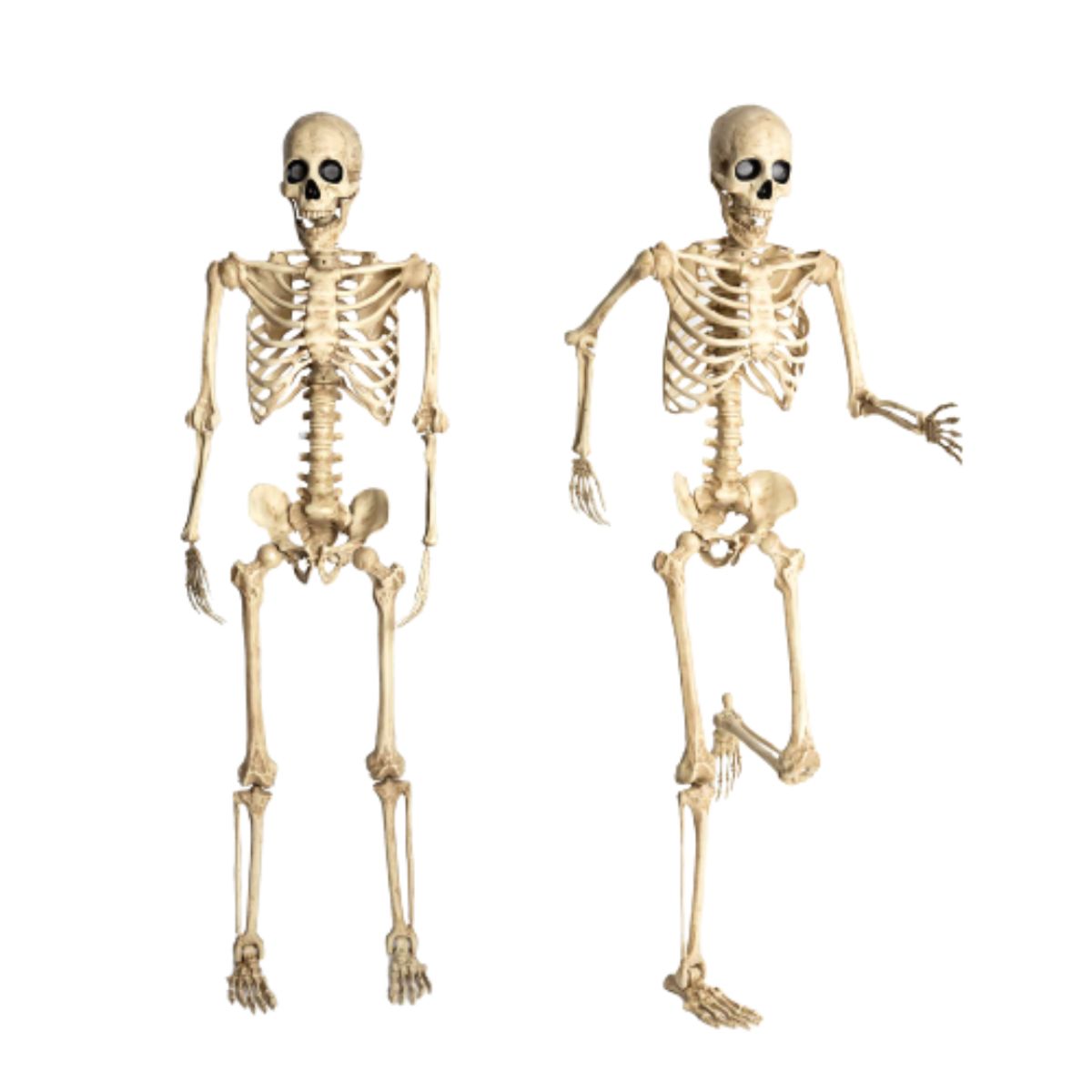 FRANK & MORTIS - Esqueleto Articulado Con Ojos Led Animados 165cm Halloween